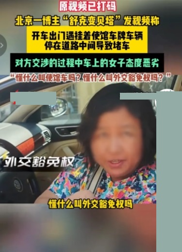 你大妈还是你大妈，说话咄咄逼人，态度嚣张跋扈。开车堵了路还振振有词叫嚣，“你懂什