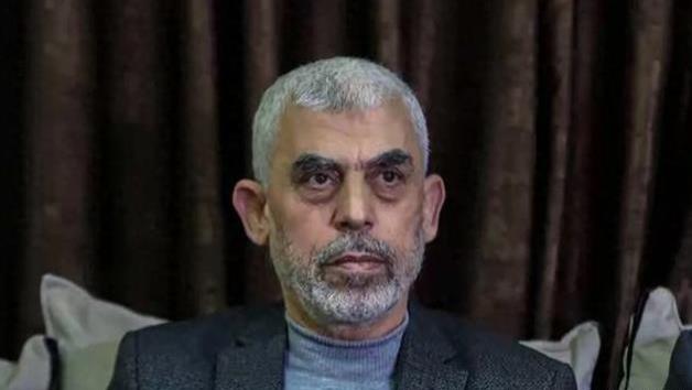 辛瓦尔战死后，其妻子被曝光，提的一个包引起不少质疑