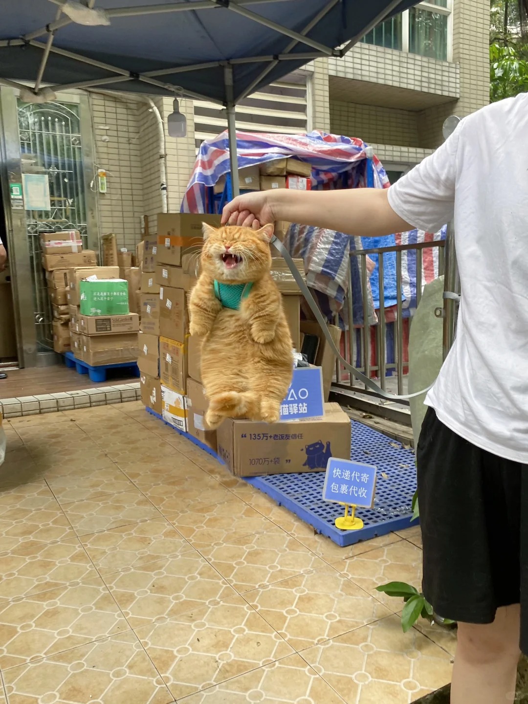 让你拿快递没让你拎老板啊…