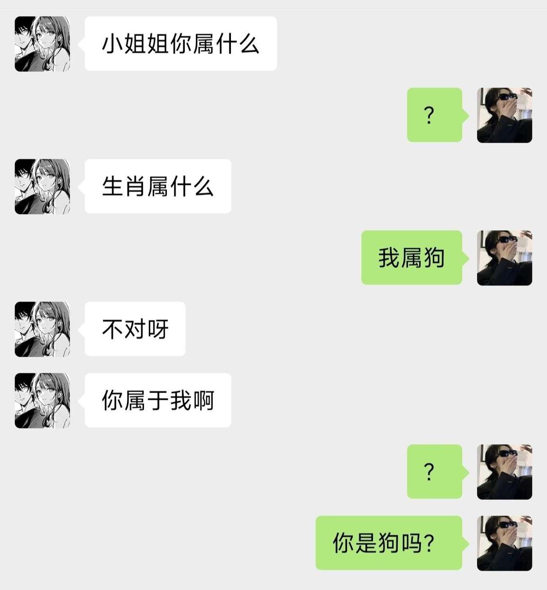 小姐姐你属什么？