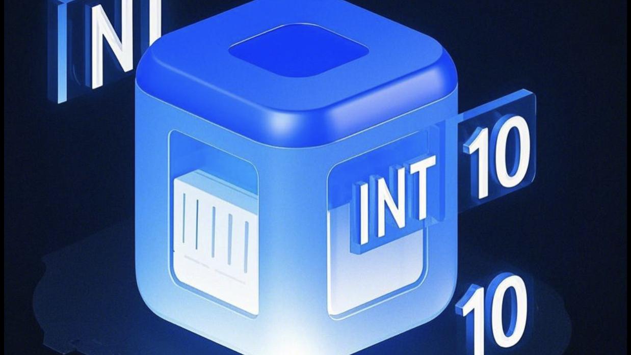 在实际开发中，如何正确使用 INT(1) 和 INT(10)