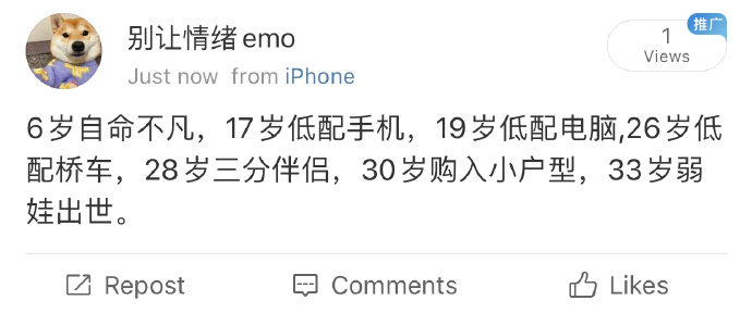 这辈子也就这样了