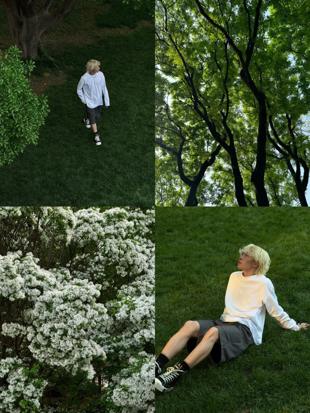 泉城公园20min🌳。。。真的太chill了！！！