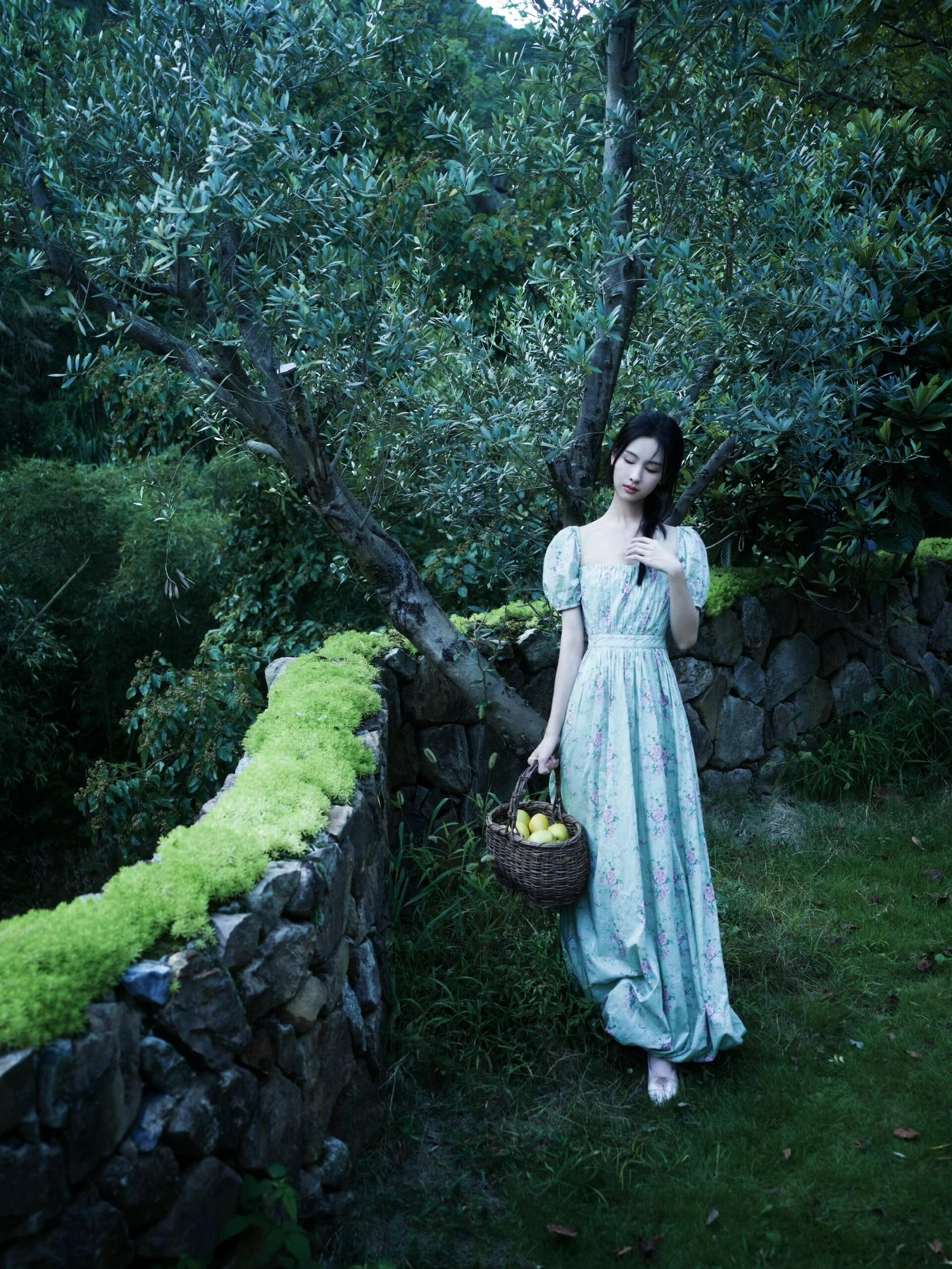 碧玉妆成一树高