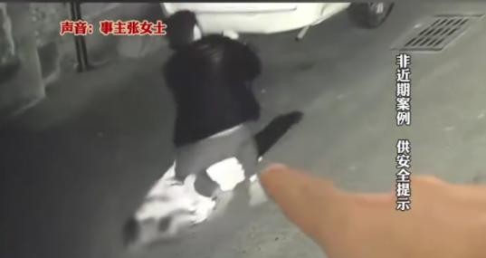 北京的冬夜里，张丽在下班回家的路上遇上了一件离奇的事。当时，她正走在黑暗的小巷中