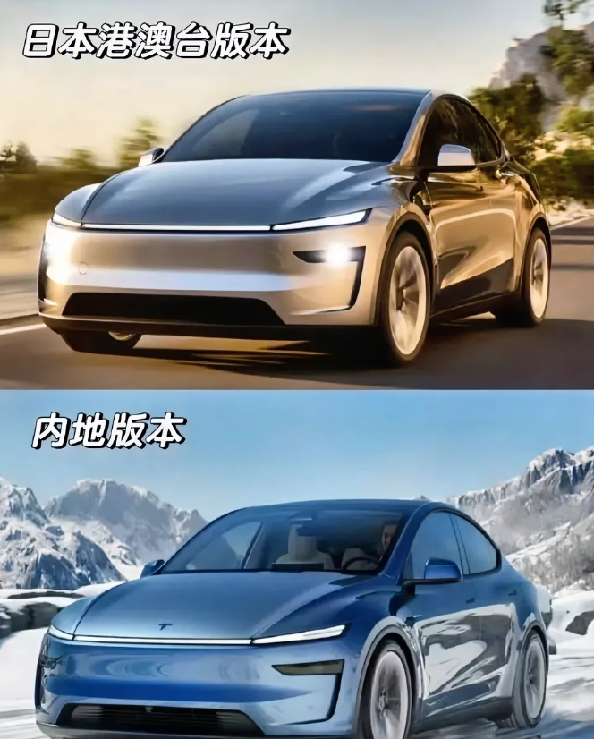 马斯克说过：只要产品足够特别，就不需要任何标志！

所以你会发现在其他地区的特斯