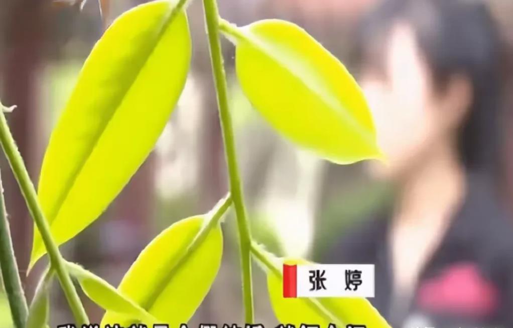 山西，女子的闺蜜因为要拆迁，于是便求助女子，希望“借”对方老公和自己结婚，等拆迁