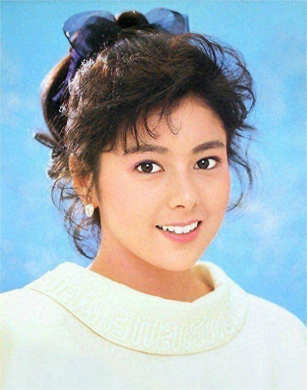 泽口靖子的演艺事业