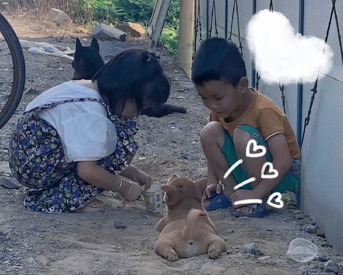 小狗应该觉得自己也是一个小盆友吧