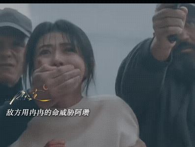 《白色橄榄树》在仓迪寺找到阿瓒的时候，他已经神志不清认不出冉冉了，和冉冉在一起后