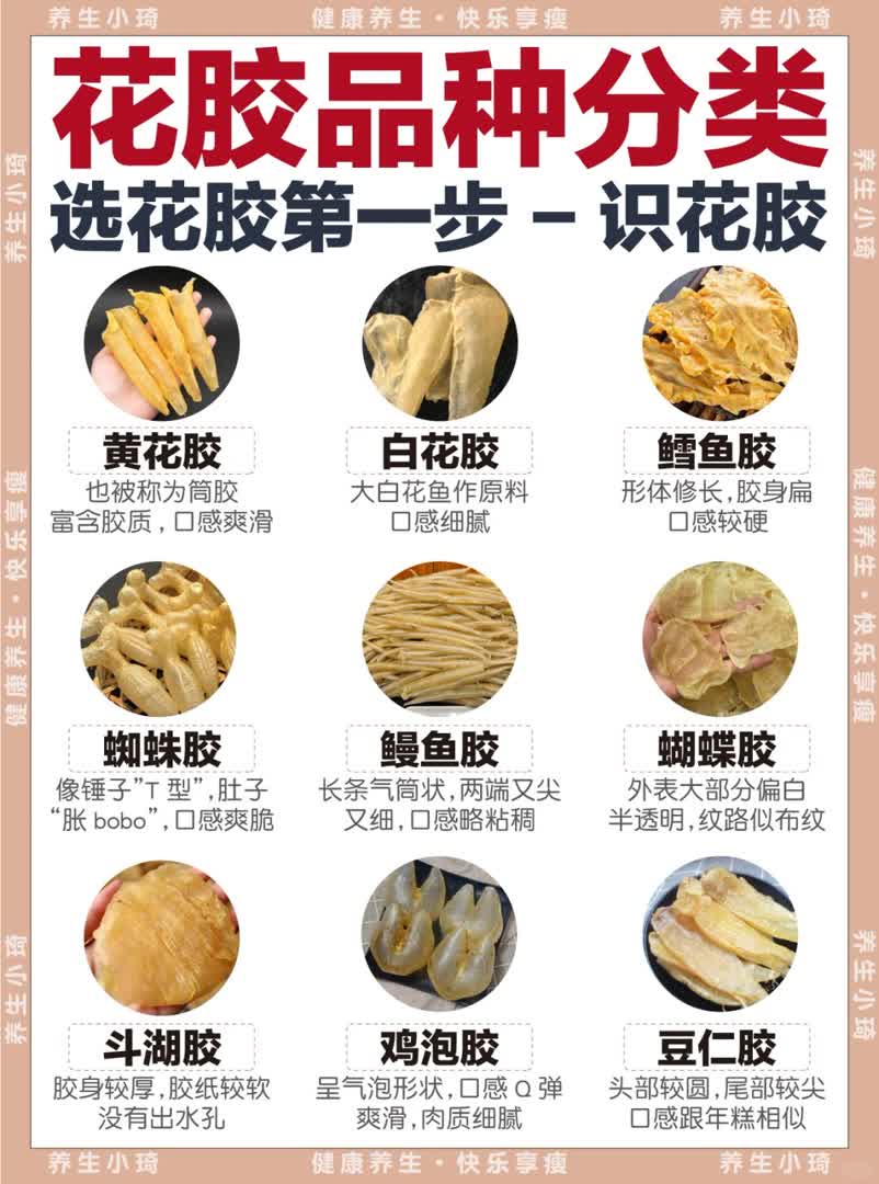 内调保养YYDS｜选花胶前一定要看的内容
