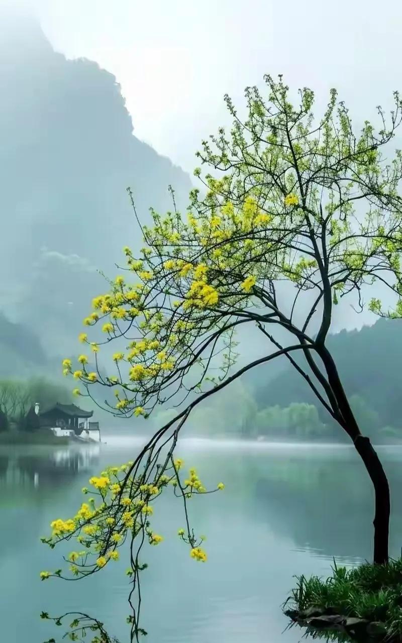 曾仕强：“当你隐约感觉一个人心术不正的时候，其实他比你想象的坏的多。
这个时候千