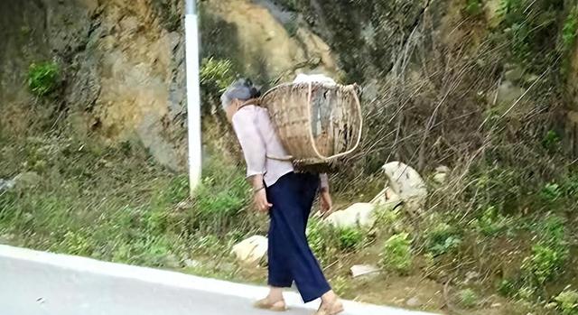 因《变形计》成“公主”,不认父母、将奶奶当仆人,结局大快人心(变形计女主人公颜值排行榜)-第15张图片-九妖电影 因《变形计》成“公主”,不认父母、将奶奶当仆人,结局大快人心(变形计女主人公颜值排行榜)-第15张图片-九妖电影