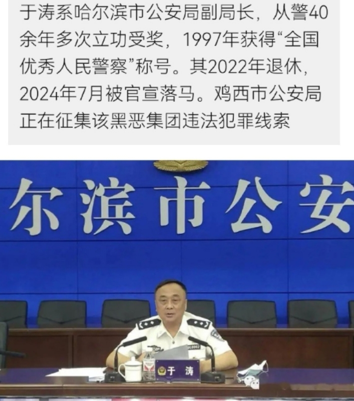 现实“狂飙”剧情正在上演!哈尔滨公安局原副局长于涛涉黑恶犯罪，妻子、姐姐同为犯罪