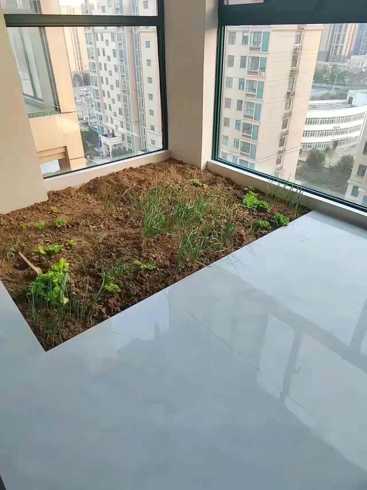 新购置了一套商品房，各种装修完毕，我媳妇非得在阳台留一片空地，说种菜，大家说说，