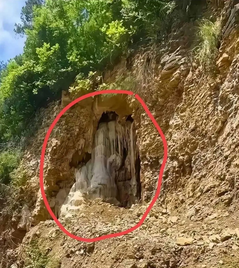 发现这个用不用上报？有懂的吗？
