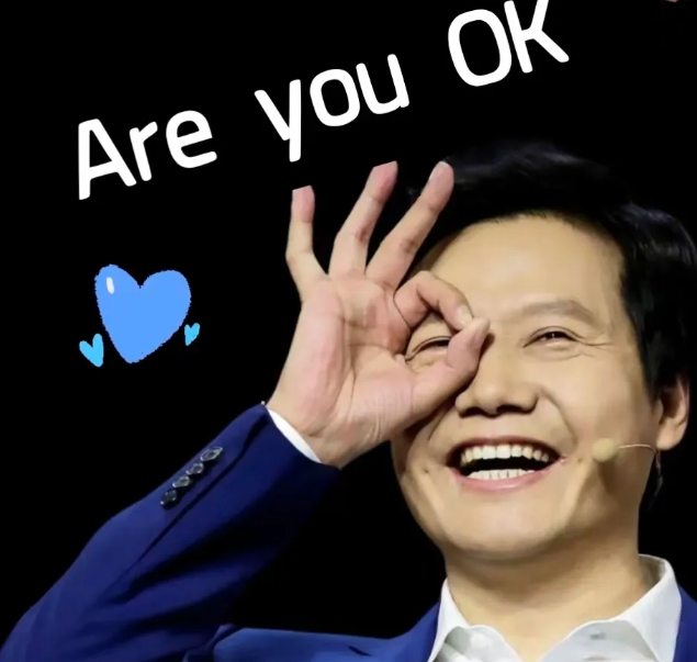 雷军：给友商点颜色看看。

最新发布的小米15手机，居然有40种配色，这种颜色选