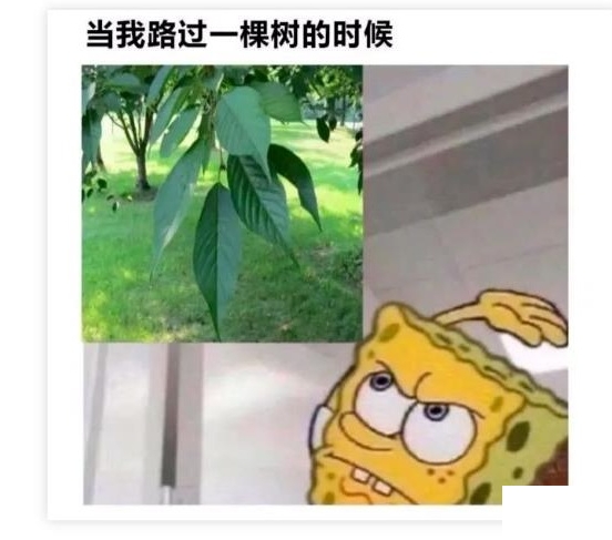 没错，是这样的