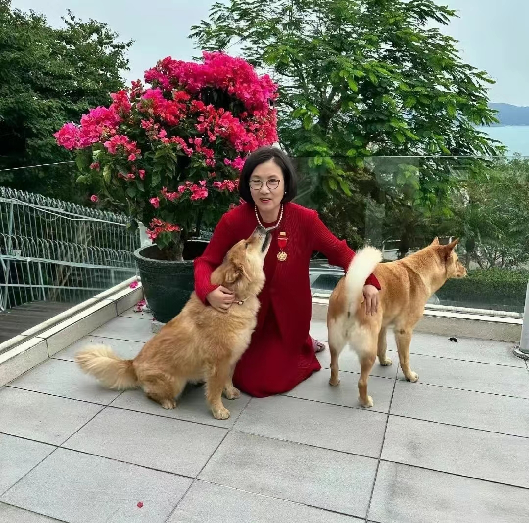 75岁汪明荃和老公罗家英一起遛狗的欢乐场景。镜头下，汪明荃身穿一套喜庆大红色连衣