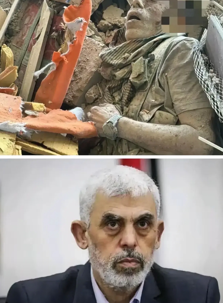 哈马斯领导人辛瓦尔被击毙了，大家看看以色列会怎么处理他的遗体？

1.交给第三方