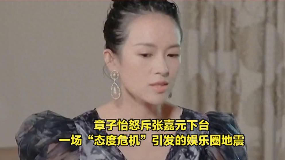 章子怡怒斥张嘉元下台：一场“态度危机”引发的娱乐圈地震