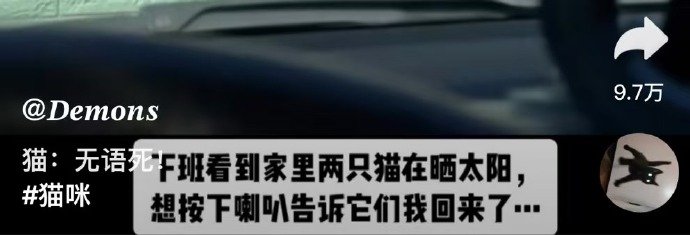 你看把小猫咪吓成什么样子了