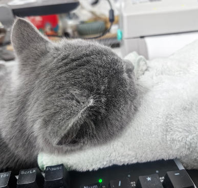 这下不用把我键盘当枕头了