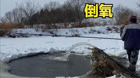 后续，哈尔滨皮卡车救人掉冰窟：完整视频流出，周围群众惊慌失措