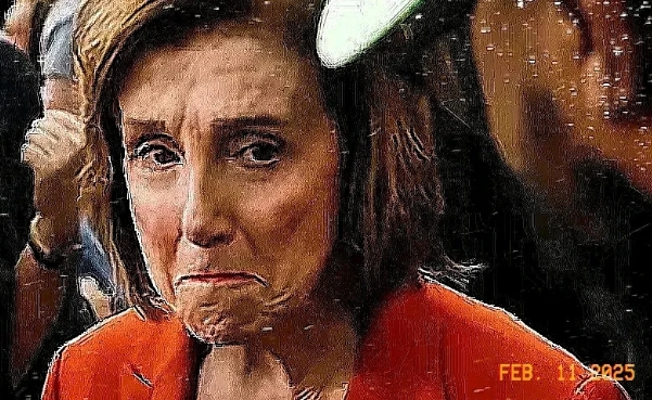 快讯！快讯！洛佩西蔫了！

马斯克本想调查一下美国国际开发署（美国国际开发署：U