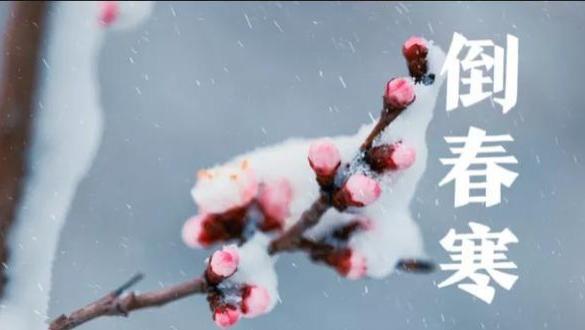 “寒冷年年有，不在三九在四九”，17号进四九，四九会非常寒冷吗
