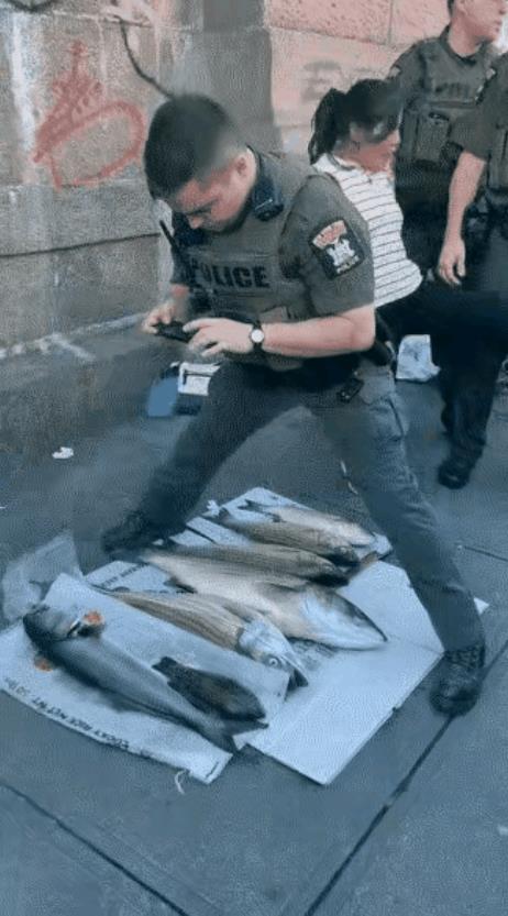 资本主义的铁拳更加凶猛！
一华裔女子在街上摆拍卖鱼，等来不是追她的城管，而戴着手