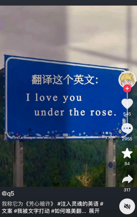 有请大神翻译官来翻译一下
