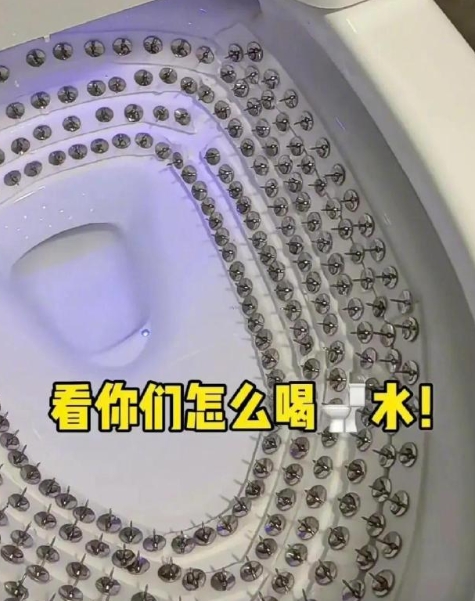主人真狠！