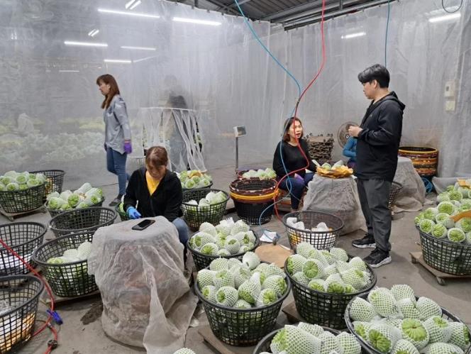 大陆终止34项农渔产品零关税，岛内怒火喷向赖清德当局！台媒警告，北京的工具箱里有