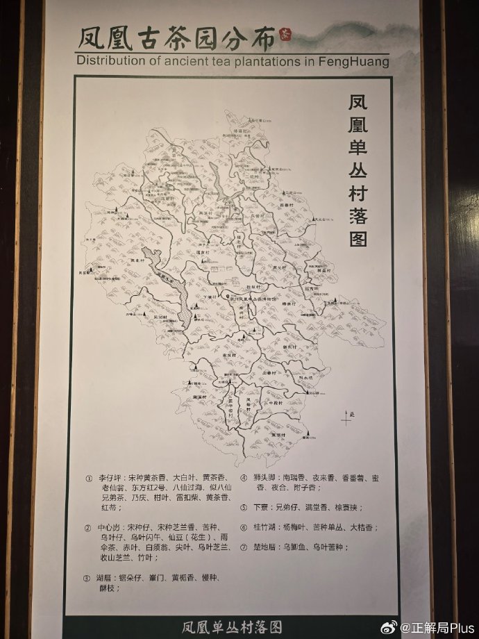 今天走进凤凰山，才了解“鸭屎香”，为啥这么出名。
#百千万工程中感受深圳力量# 