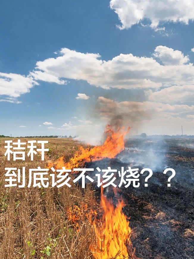 玉米秸秆到底该不该烧？
最近看到一篇报道，内容是湖南一地全面放开秸秆焚烧。
秸秆