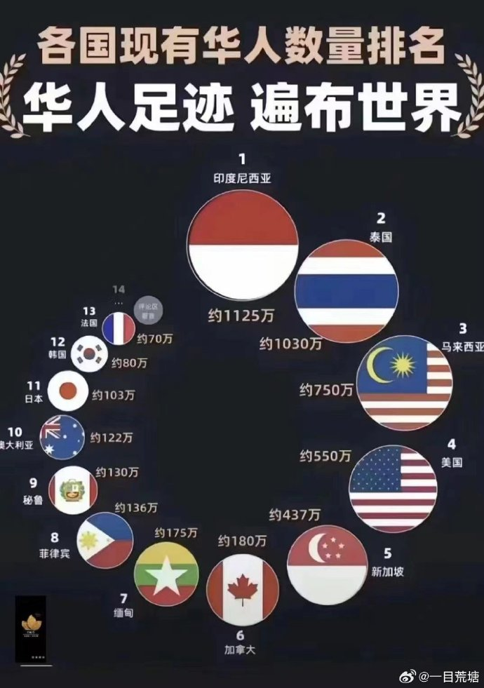 #看图说话# 现有各国华人数量排名