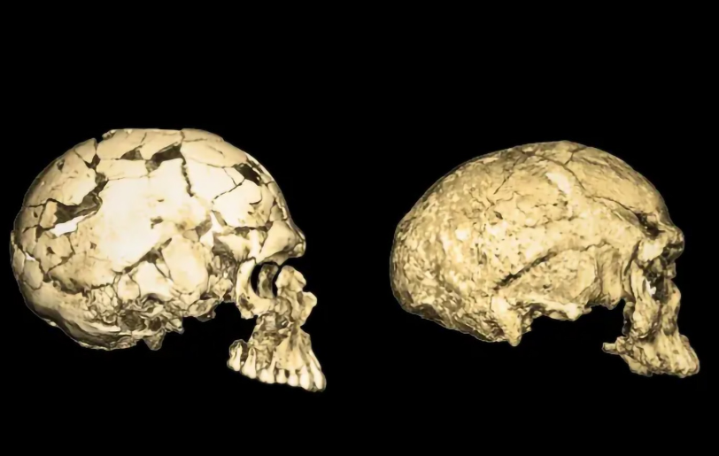 “考古发现16万年前人种，竟然与现代人一样，人不再是猴子变的？”

达尔文的进化