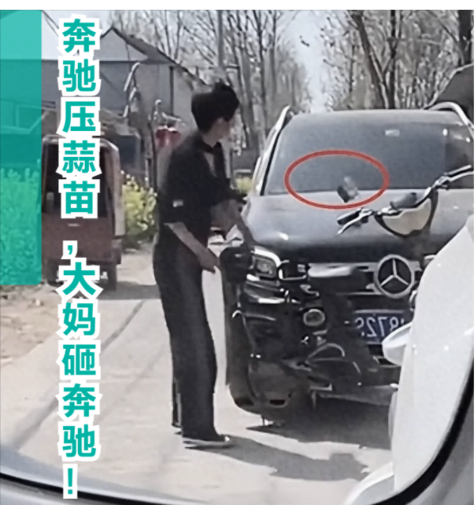 不可理解！后续会进行赔偿吗？奔驰压蒜苗，大妈砸奔驰这件事，您怎么看？

现在农村