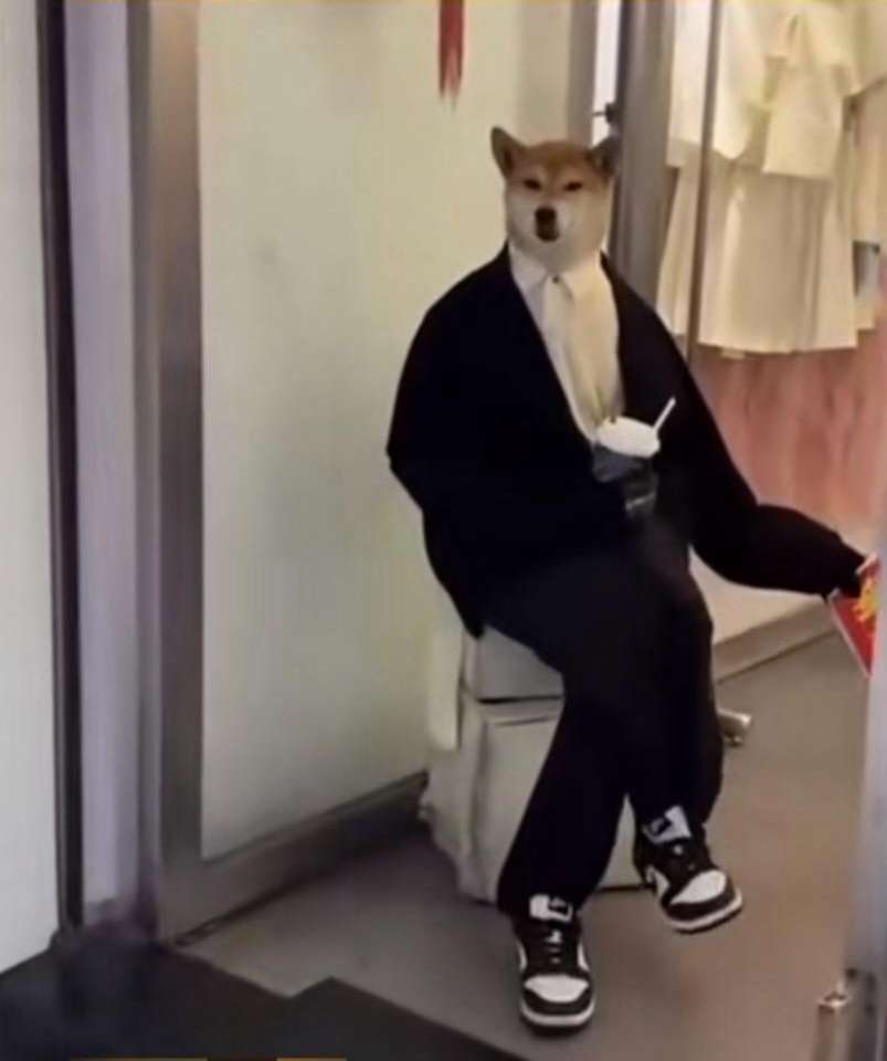 负责招揽客人的员工