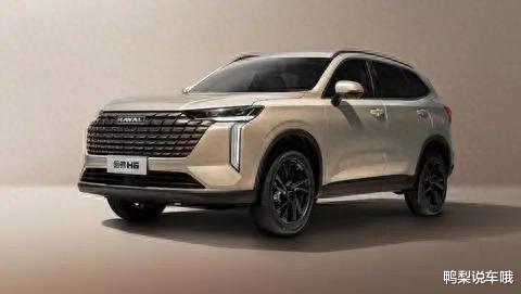 适合通勤家用的10万级SUV，可以看看这两款，空间大实用省油