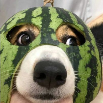 现在你们在干嘛？
