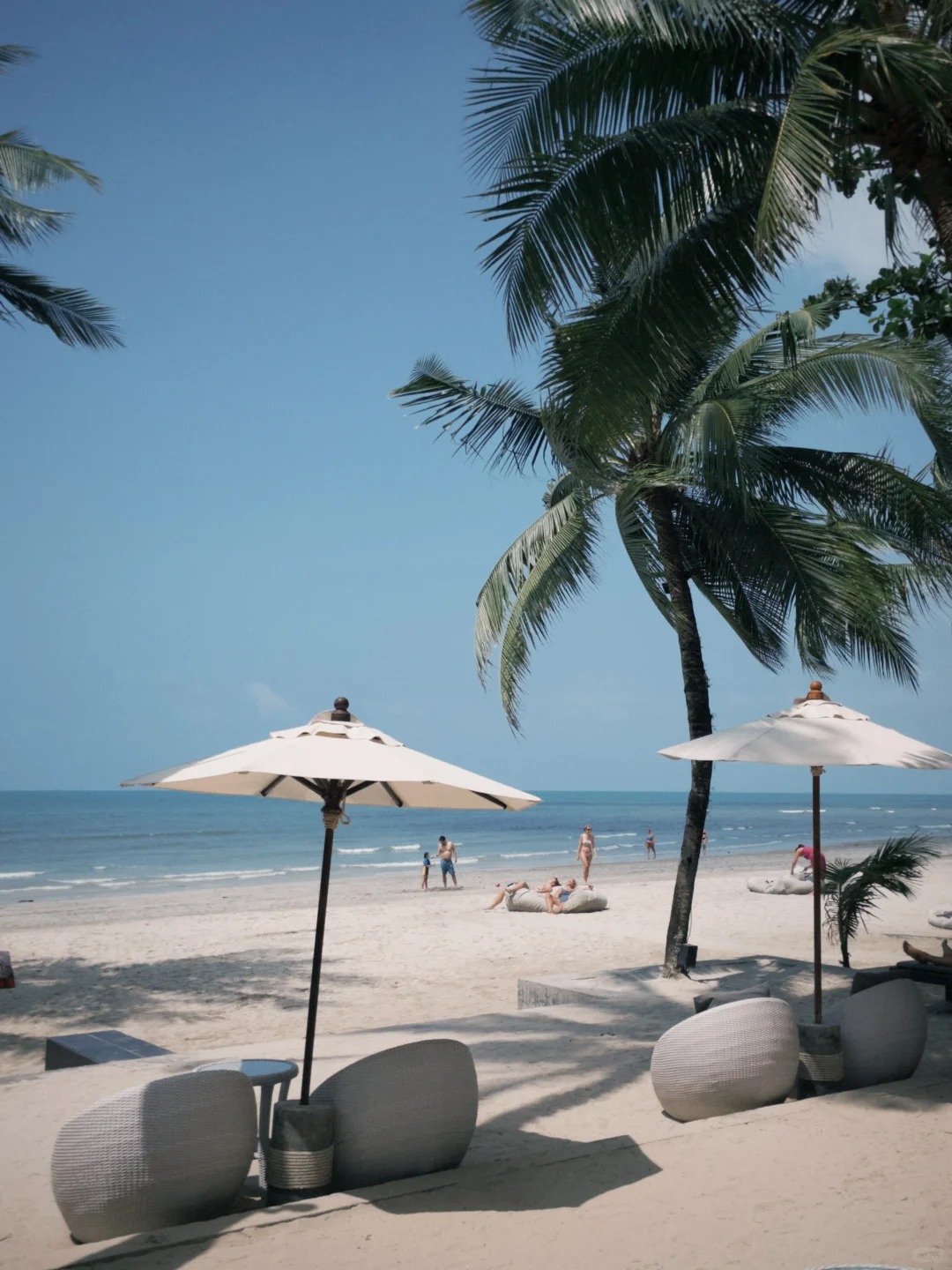 Dazz相机真的封神📷
有了dazz还要什么相机 所有图片都是fxnr直出
和