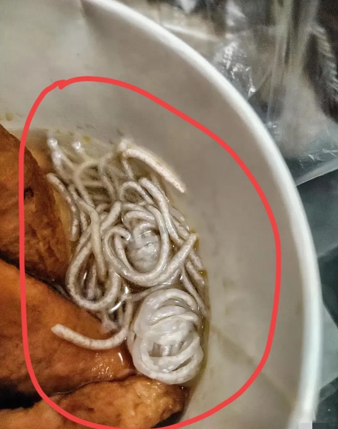 真的大无语！本来满心欢喜打算美美吃一顿粉丝，结果就看到碗里粉丝堆里有个白色的东西
