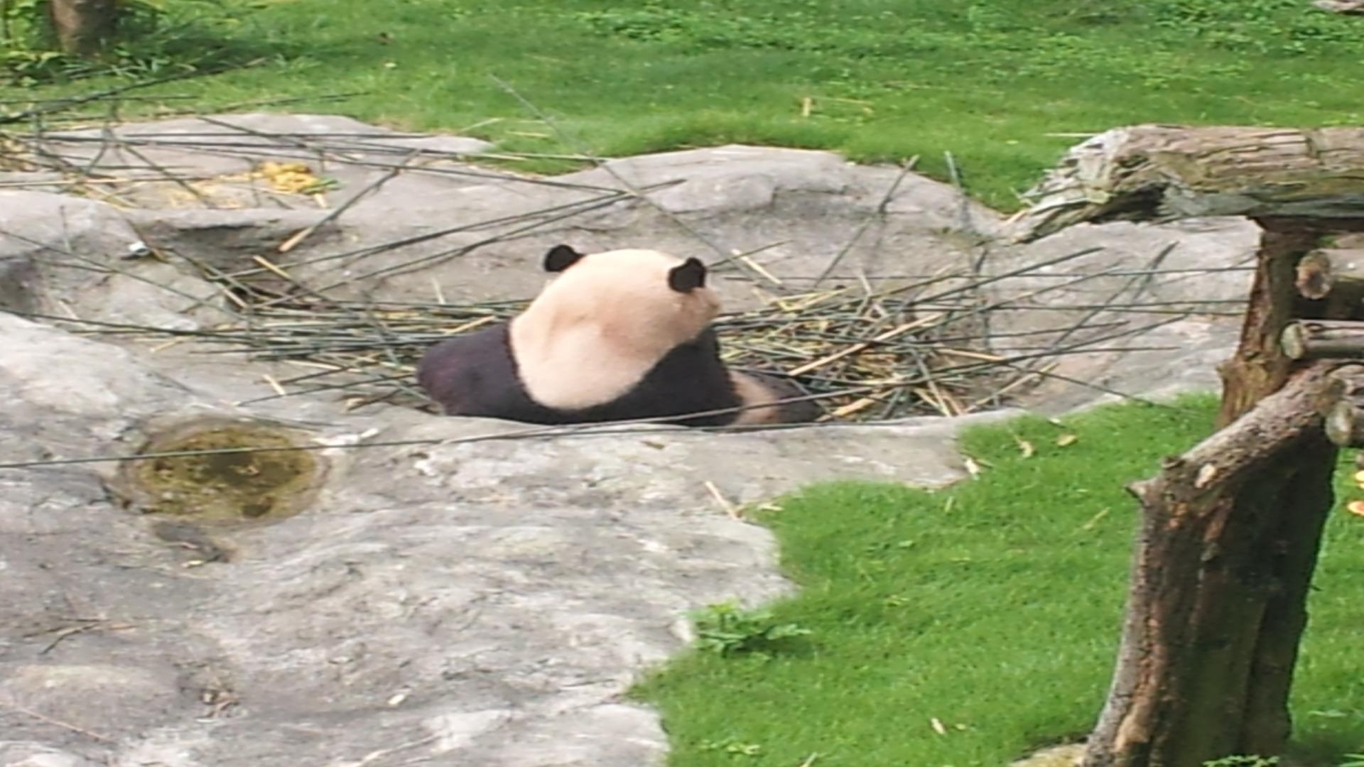 在思想未立之前如何规范自我？