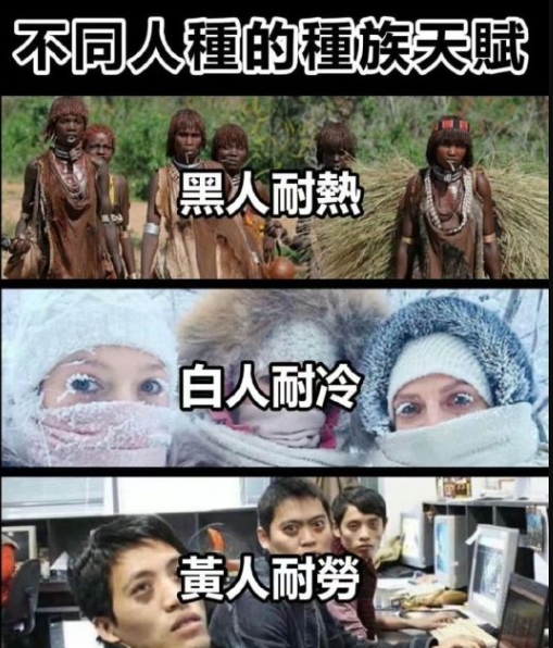真的是绝了啊