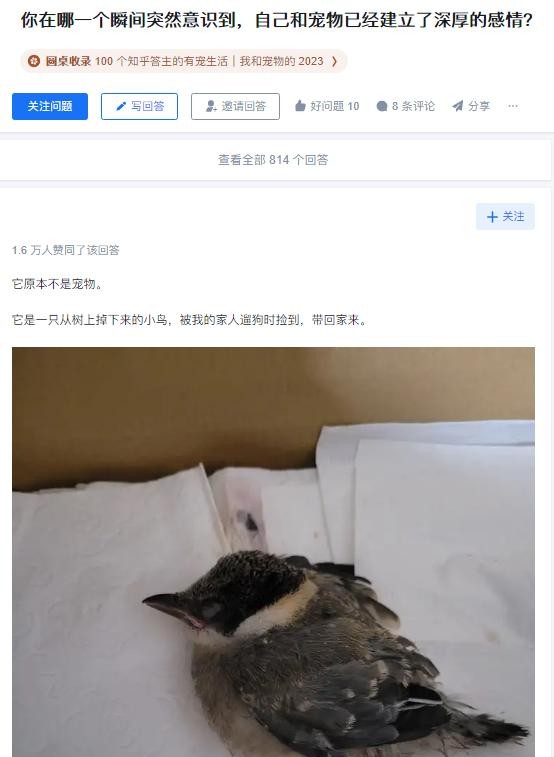 手养鸟放生等于送死别放

                           