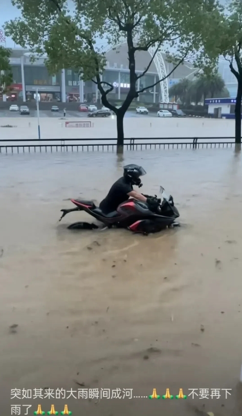 满大街的鱼。

这个时候你想到的是捡鱼还是安全？

暴雨还在下，像从天上泼下来一