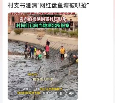 网红李维刚盘鱼塘被哄抢，网红很委屈，可是当地村支书却说网红是自导自演损害了村庄形