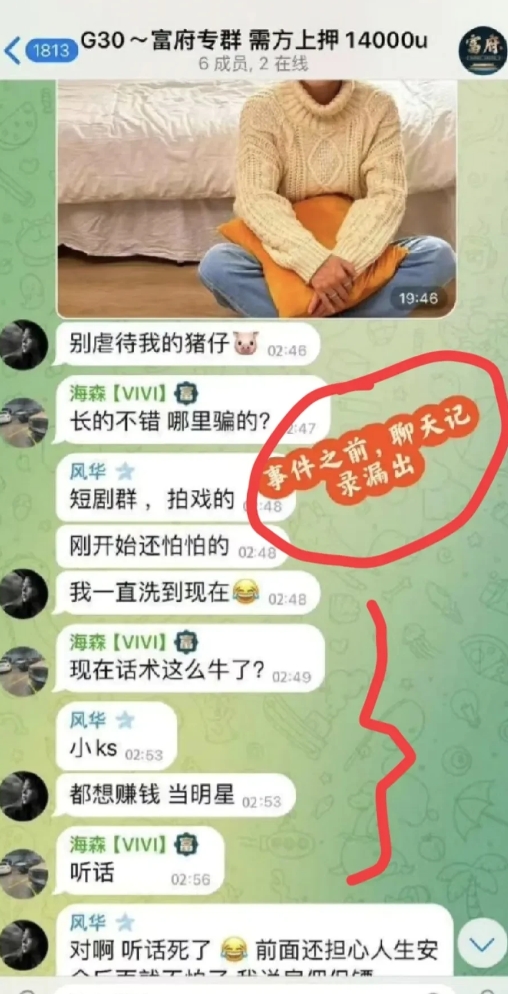 疑似园区他们自己内部的聊天群记录留了出来，说的是到了泰接上王星那一段，情节比我们